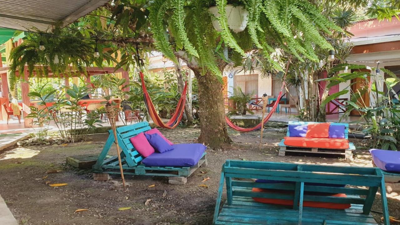 Cabinas Palmer Makanda Cahuita Εξωτερικό φωτογραφία