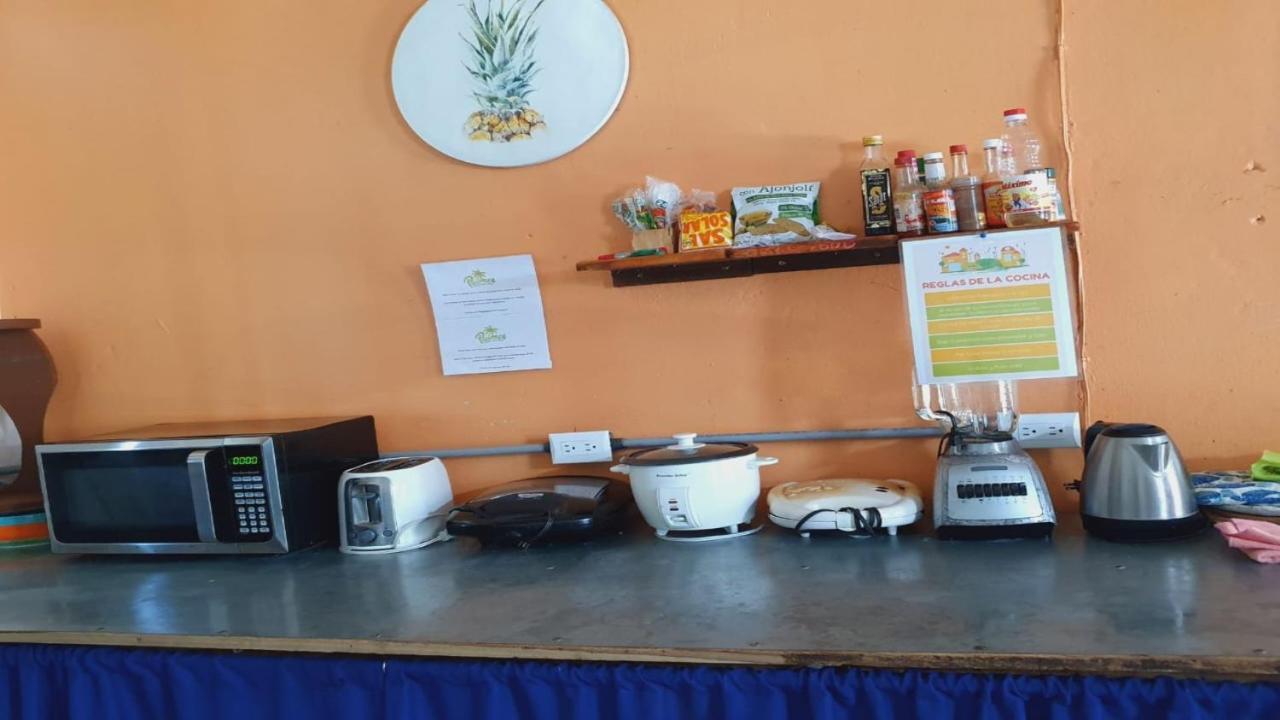 Cabinas Palmer Makanda Cahuita Εξωτερικό φωτογραφία