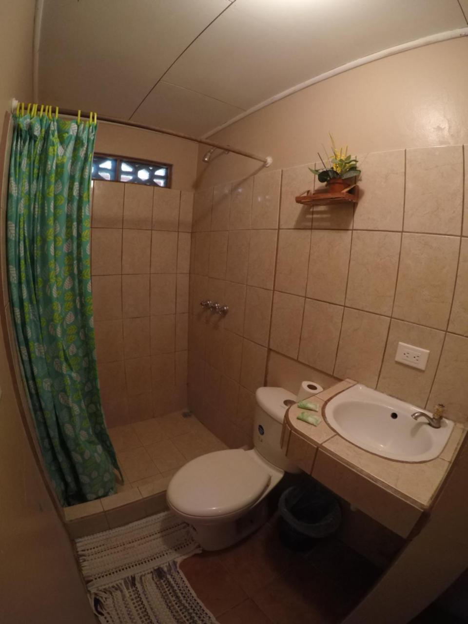 Cabinas Palmer Makanda Cahuita Εξωτερικό φωτογραφία