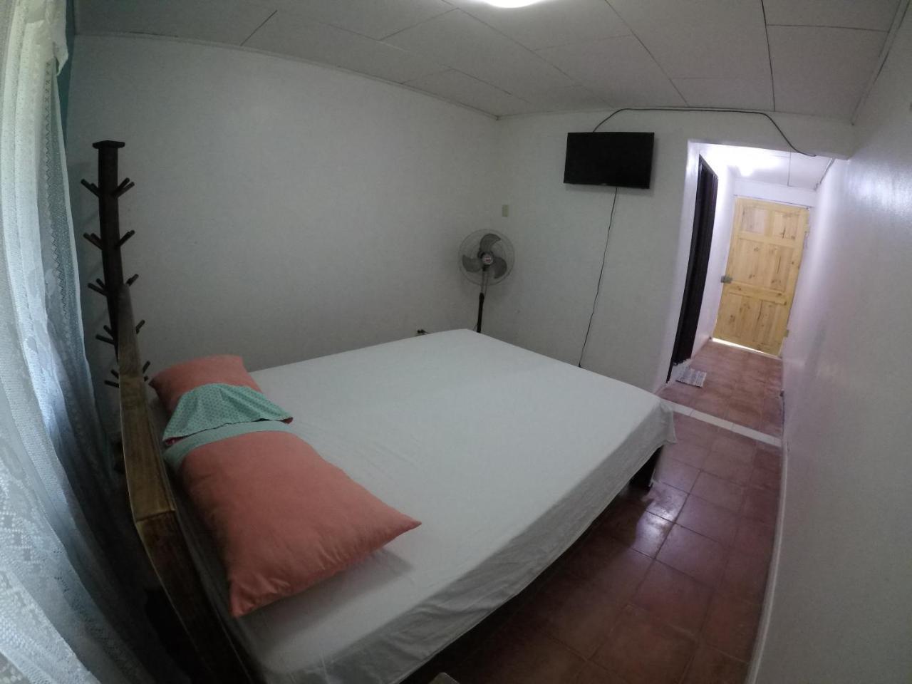 Cabinas Palmer Makanda Cahuita Εξωτερικό φωτογραφία